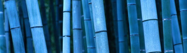 largoplacismo bamboo japones